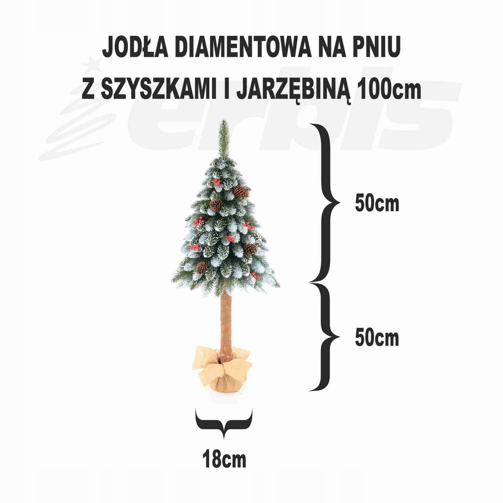 importora-gallery-e17559a4-0864-48da-8dcd-26f25c44afdb-004