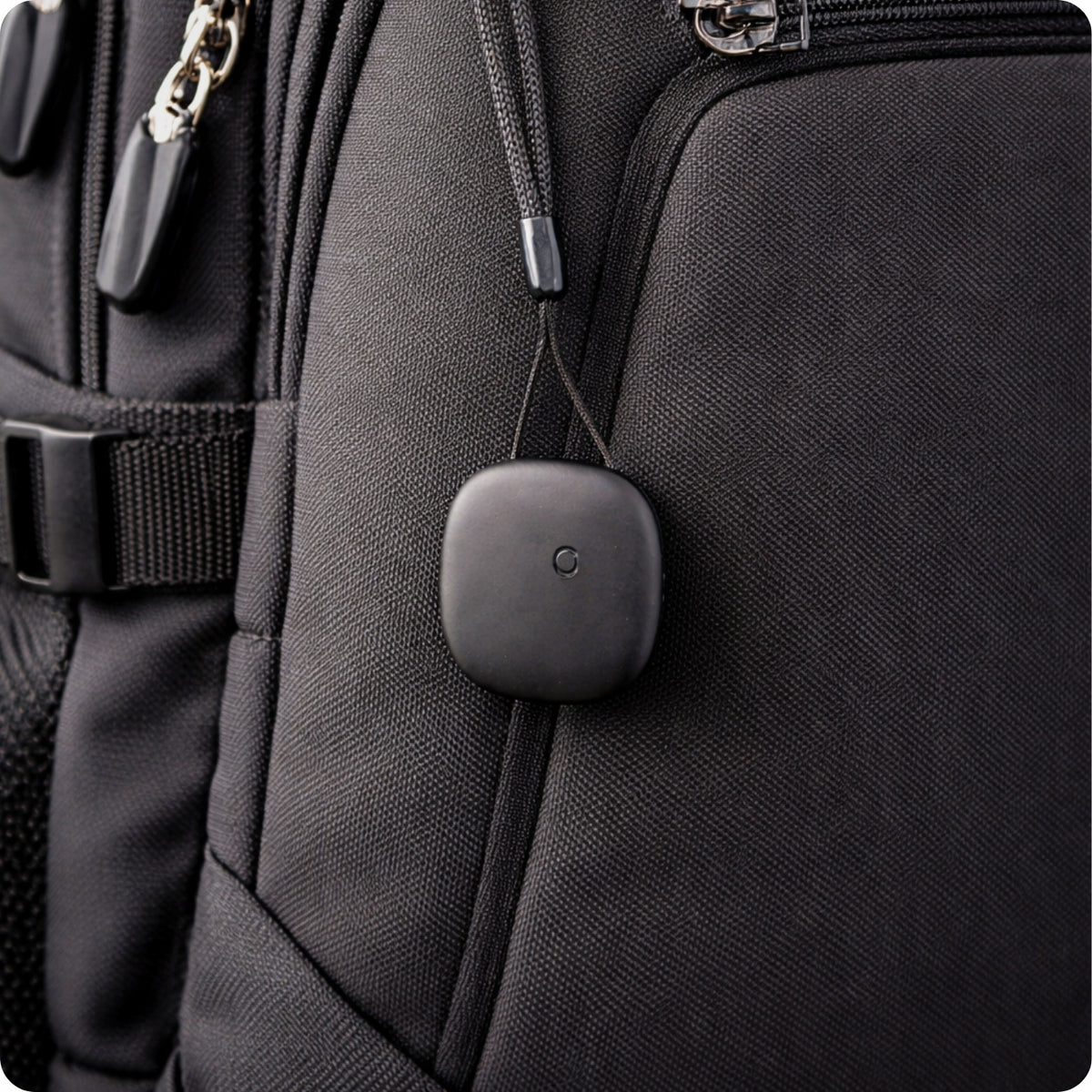 importora-gallery-57e57413-2685-4b1a-bcad-35d75ebb0d74-004
