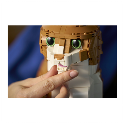 LEGO® Ideas Oranžinė katė 21376