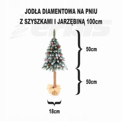 importora-gallery-e17559a4-0864-48da-8dcd-26f25c44afdb-004