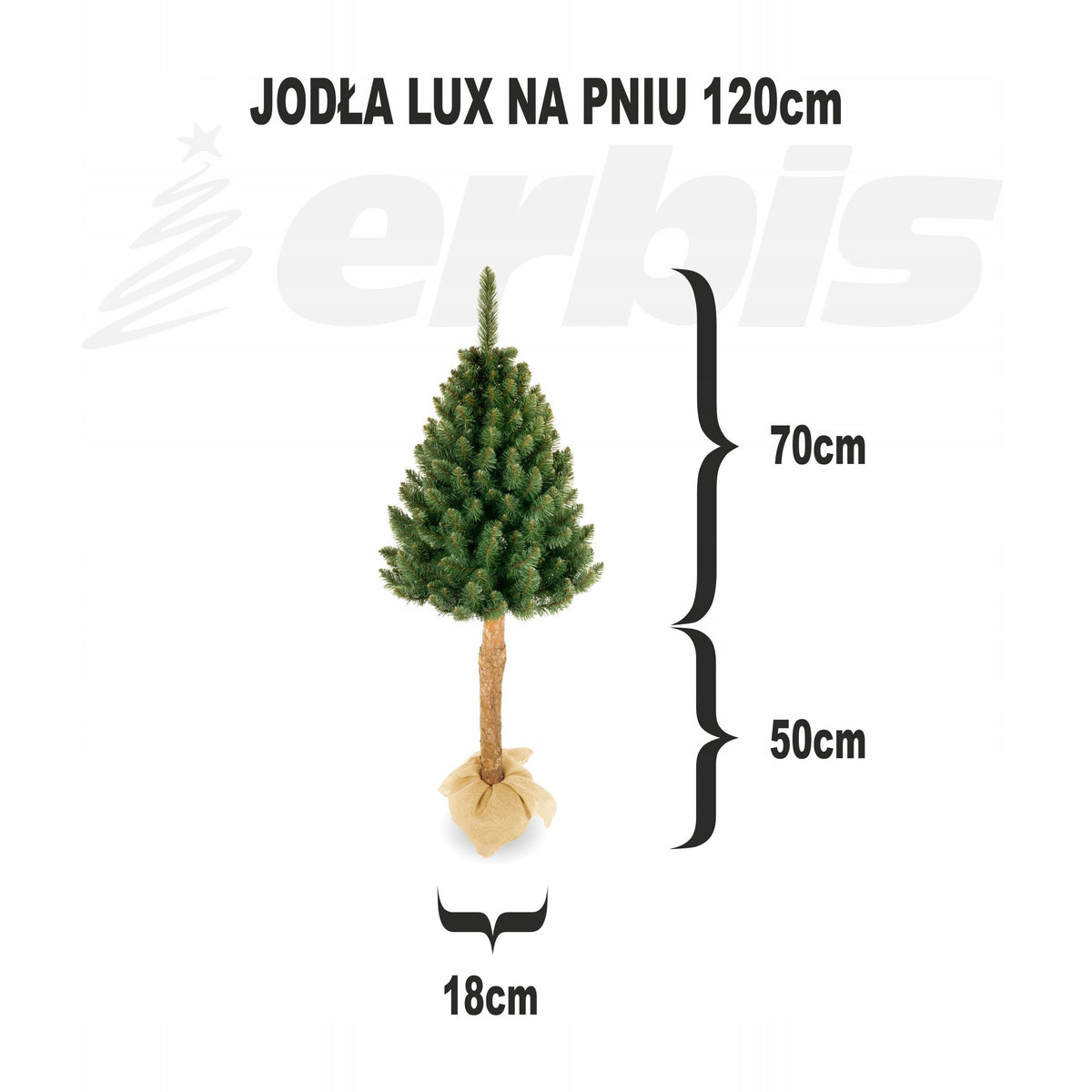 importora-gallery-dac706f0-1bb1-4918-a41a-f6d69581782f-002
