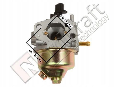 importora-gallery-458fa5e8-80a4-413b-a2f4-a5dba56c06af-005