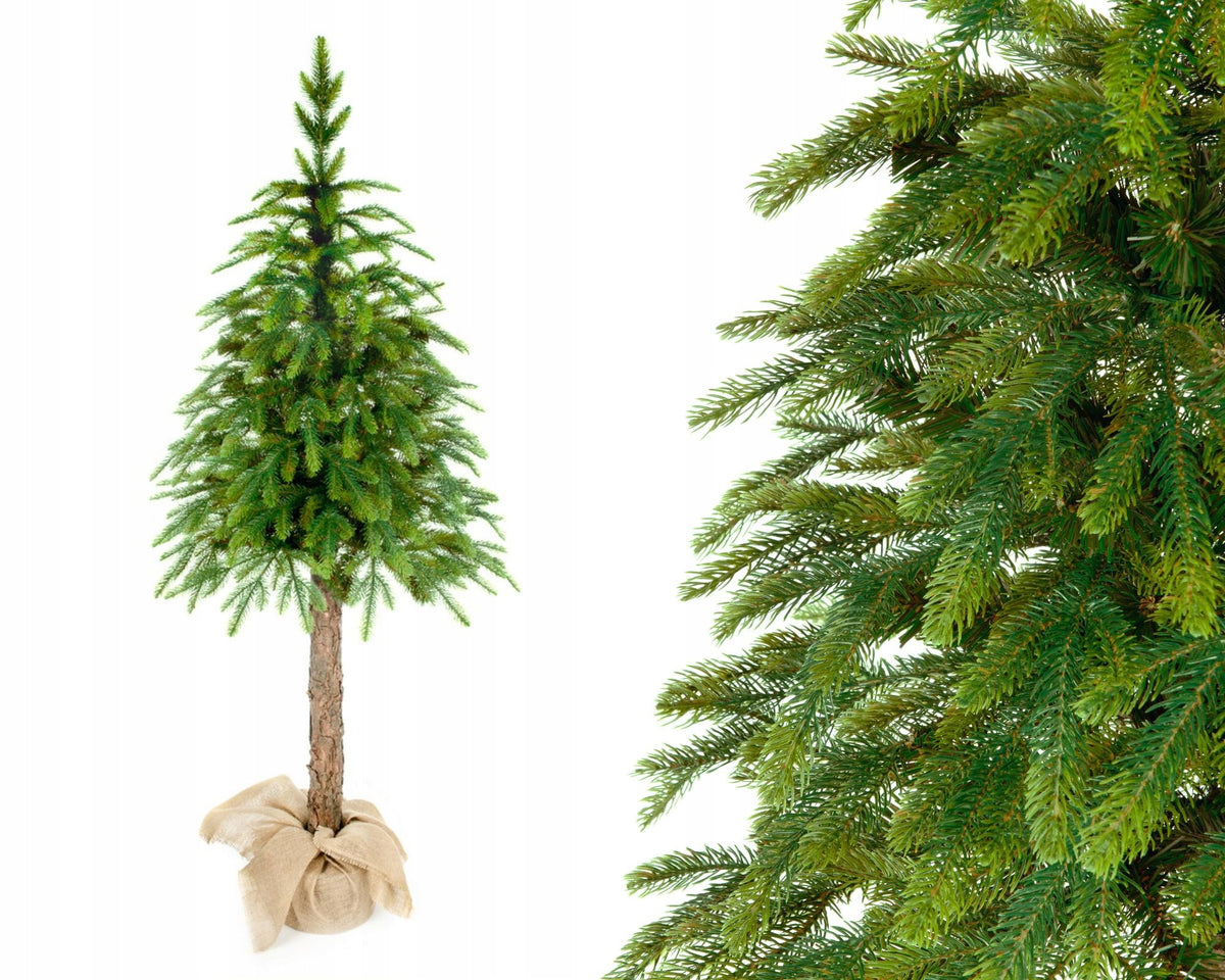 importora-gallery-c85e4dcd-8cb3-4357-a9bc-14b5f2602f4e-001