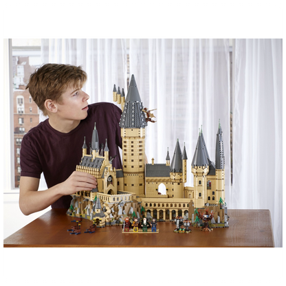 LEGO® 71043 Harry Potter™ Hogvartso™ pilis
