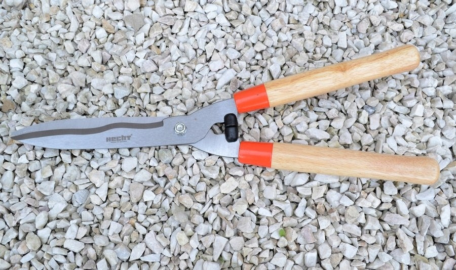 importora-gallery-3309c319-b88a-49d9-bfa7-cfcfa7e13a1b-003