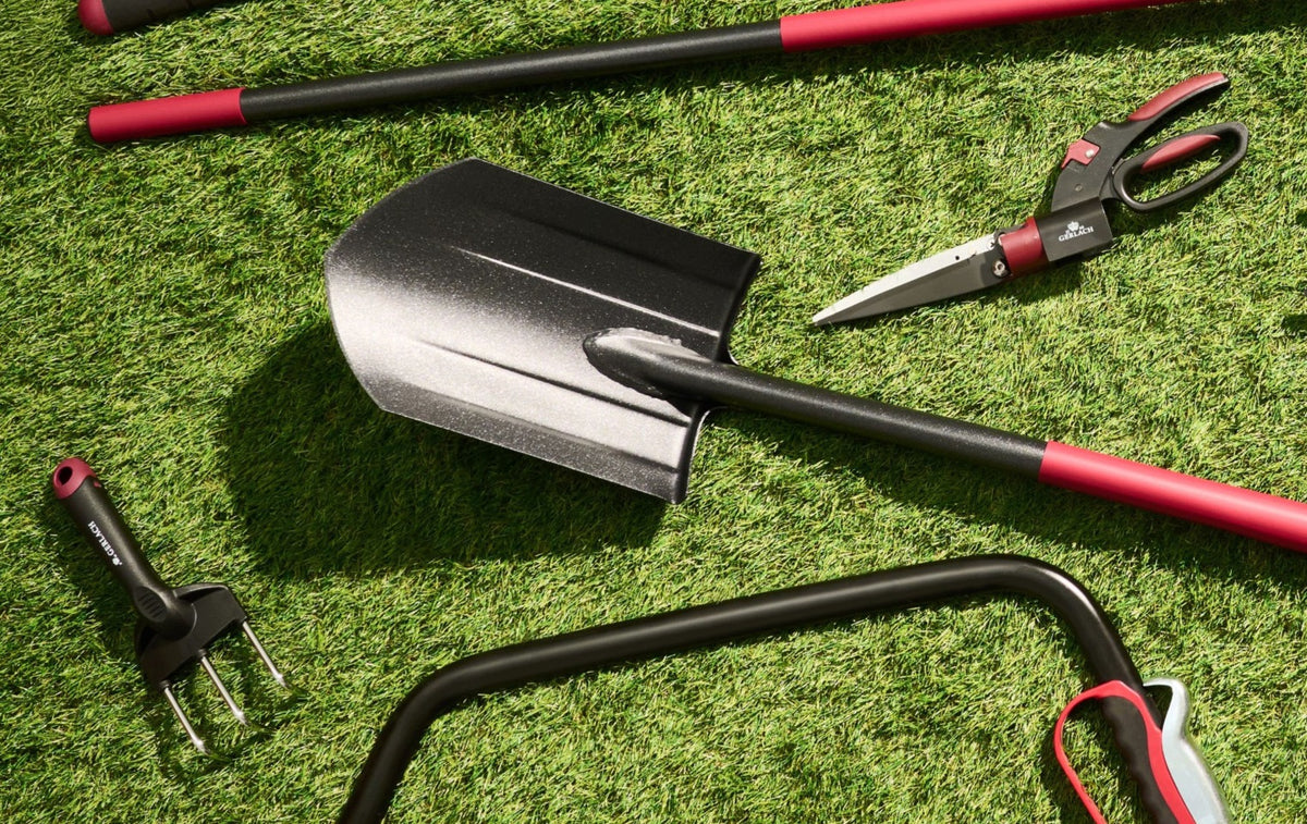 importora-gallery-a120e68a-4980-4436-89ad-7fcea6230f39-003