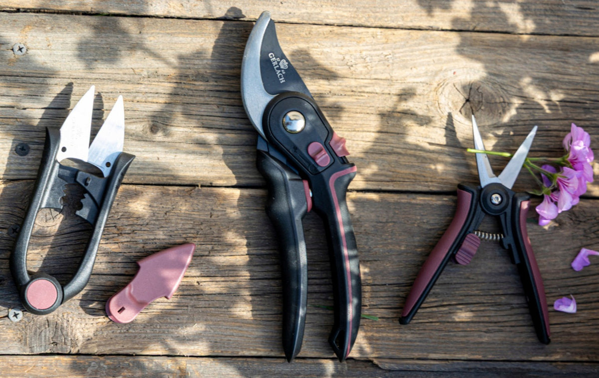 importora-gallery-be94d68c-3ca1-4d17-8e40-7ee2599cd94e-003