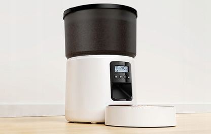 importora-gallery-03a2aeac-b996-42ae-9fac-f65edc3aeb58-004