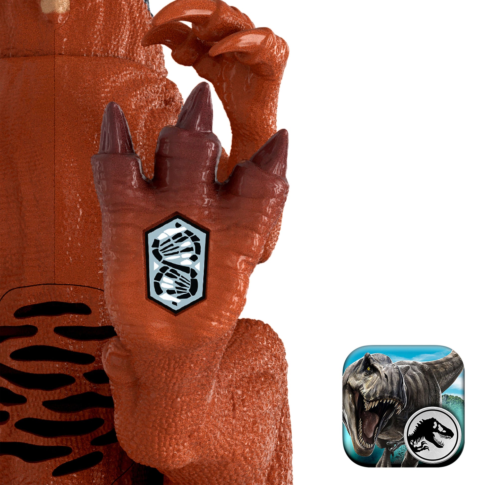importora-gallery-c8930ad8-d093-4ab5-a75d-9d04bc44060c-005