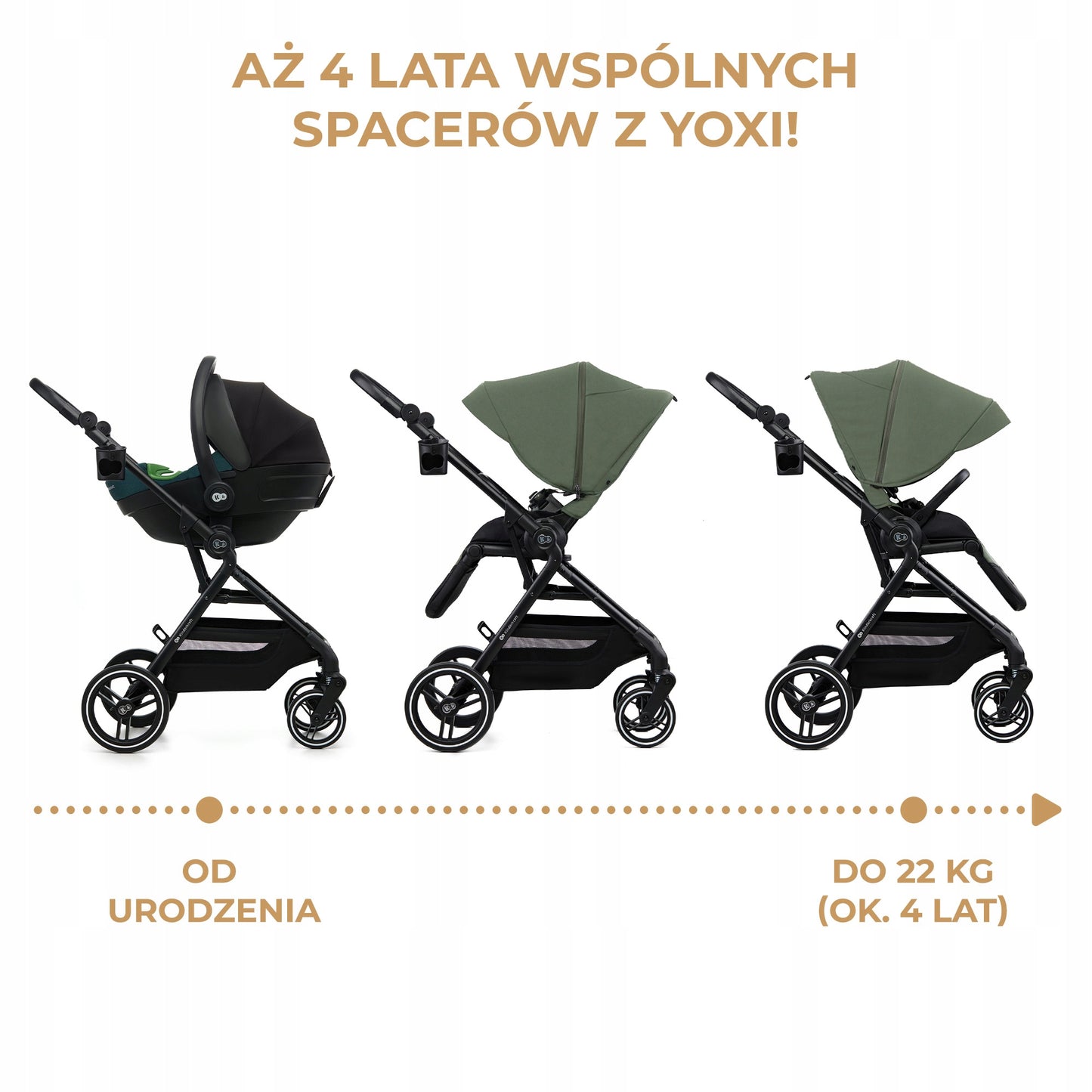 importora-gallery-cc83e330-993f-4151-b1c5-ce633d76742d-002