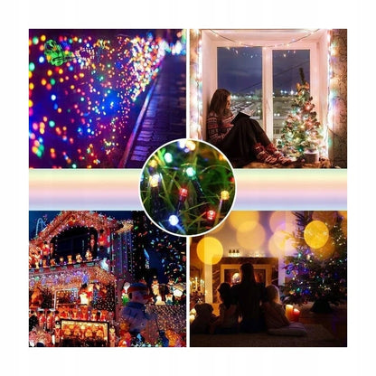 importora-gallery-7b297ab9-d538-4a5b-871a-c7239141d766-003
