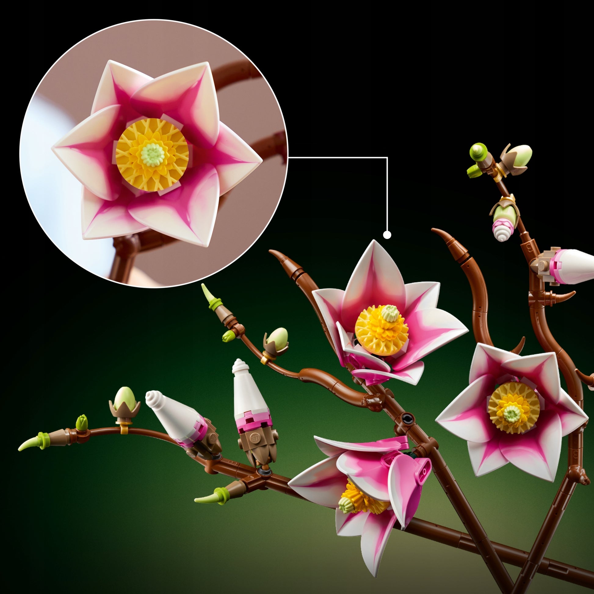 importora-gallery-e901db5f-ff18-4948-b8dd-7e8cd8c5d025-003