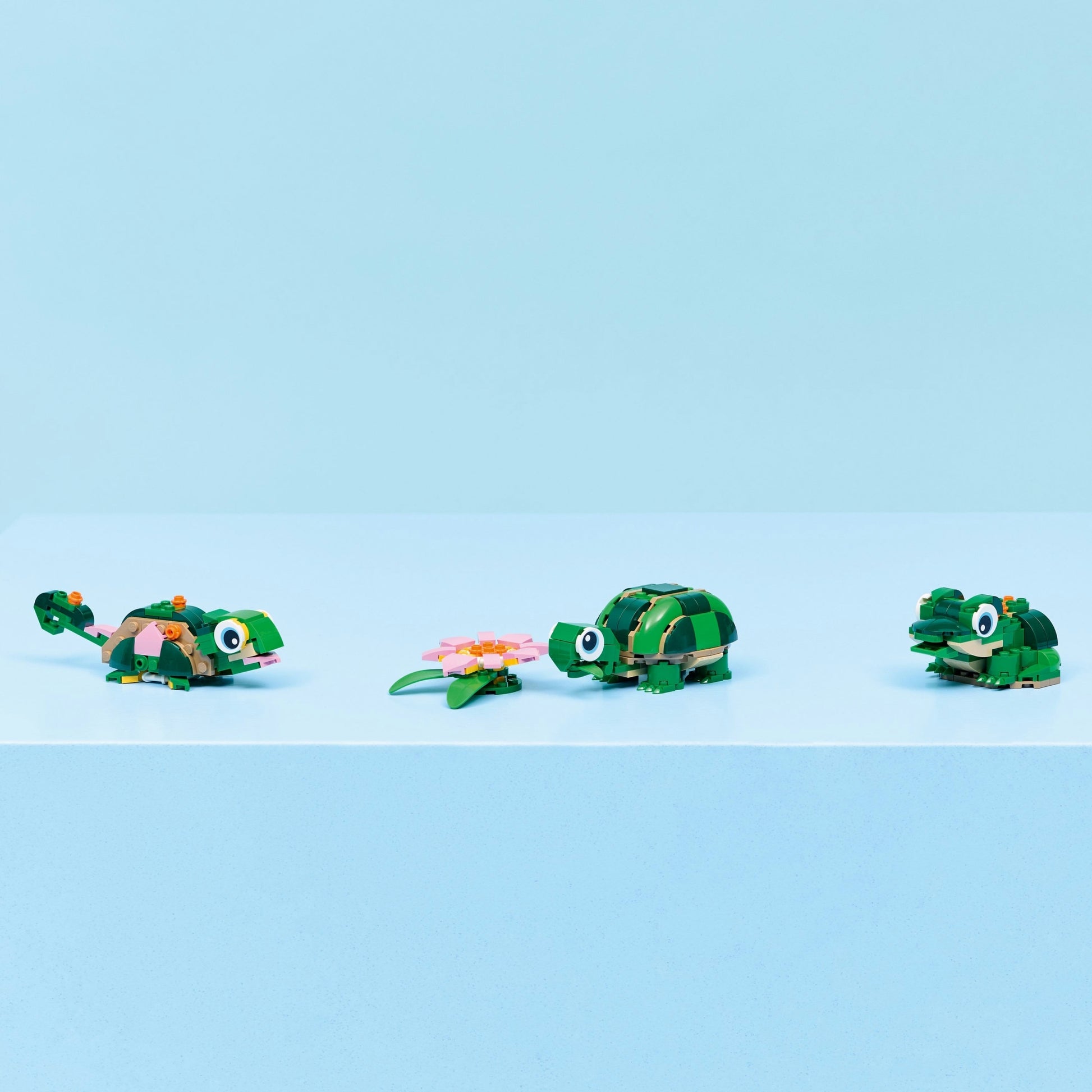 importora-gallery-f585f66d-6763-4580-9cb9-1f6cbc6f03a8-007