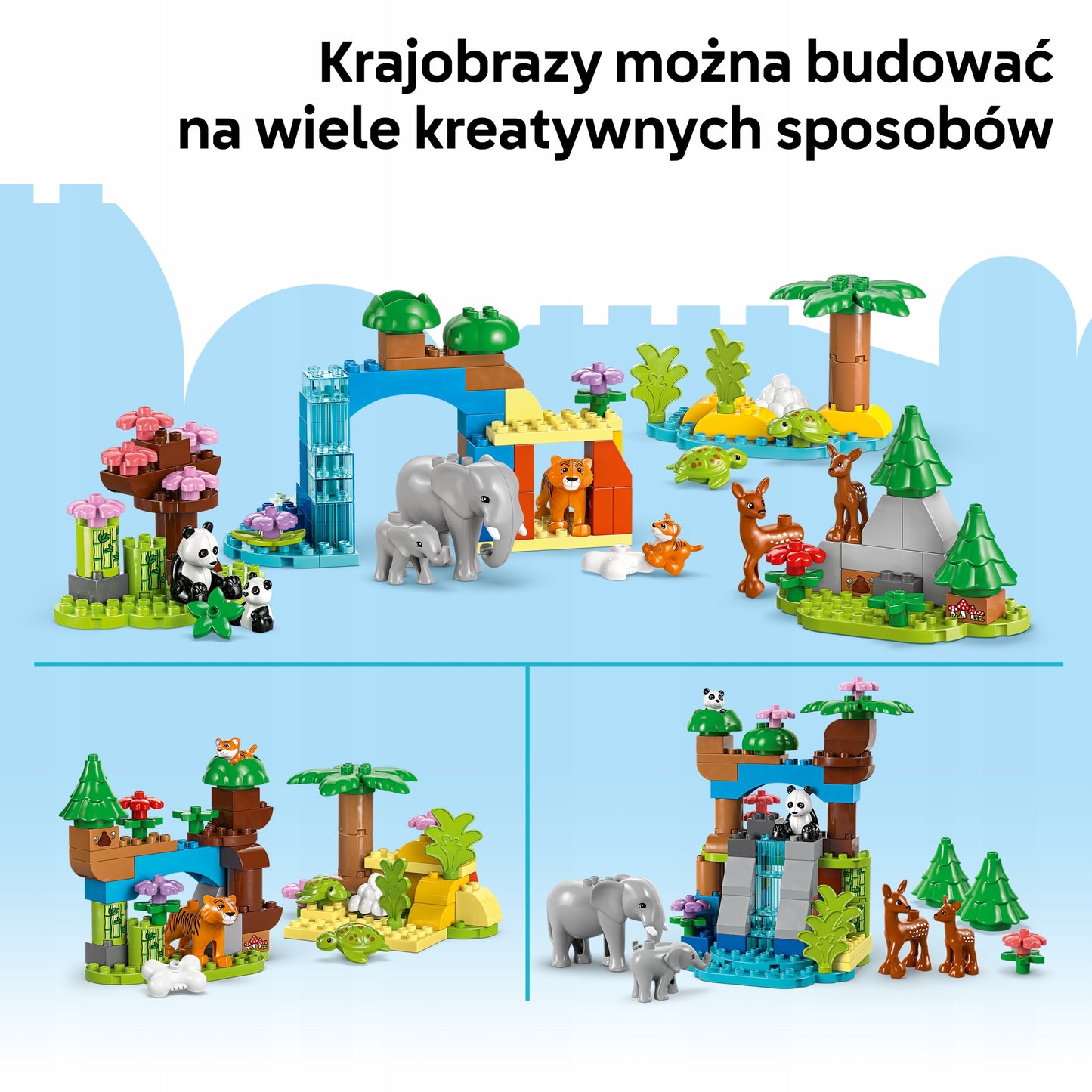 importora-gallery-3e01a29d-287d-4293-9938-e0fd8b7711a0-007