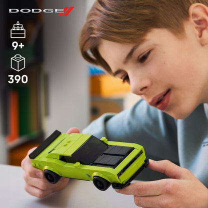 importora-gallery-a7029f80-f274-434b-bc4a-5548abf2b2d4-006