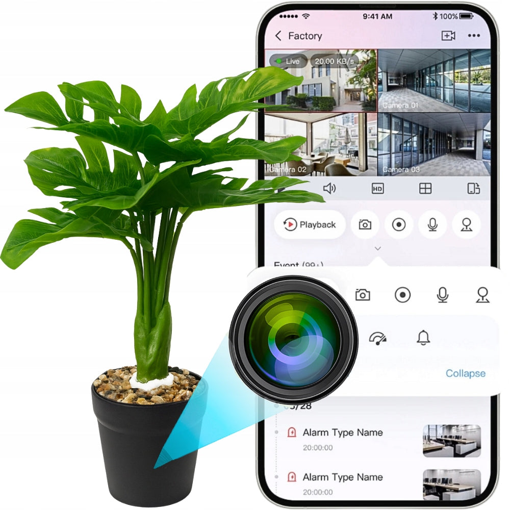 importora-gallery-4b6894a5-3d44-47f0-9e70-da4764c75197-001