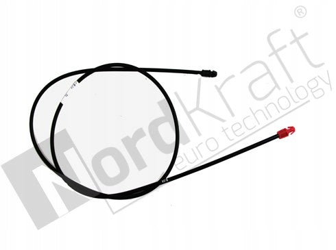 importora-gallery-c6c49dcb-b7b2-4b0e-8b1c-ff06fd8f5d5d-003