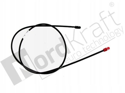 importora-gallery-c6c49dcb-b7b2-4b0e-8b1c-ff06fd8f5d5d-003