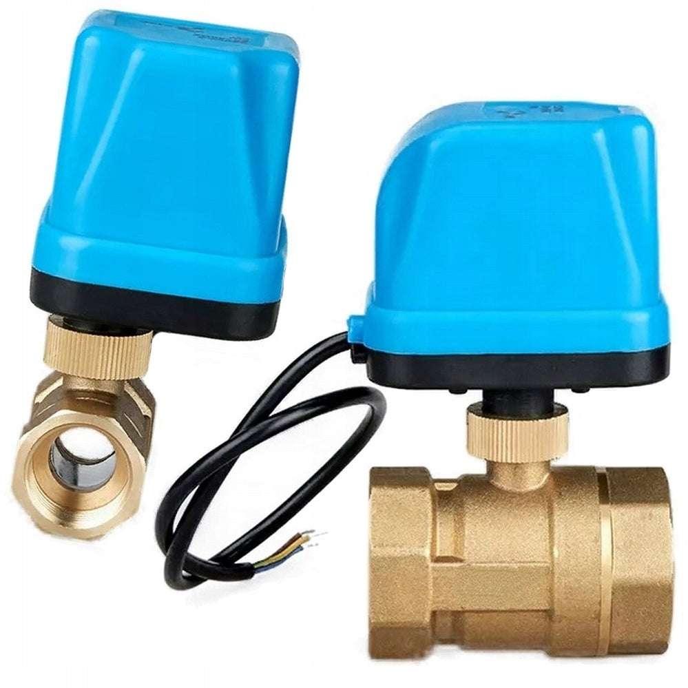 importora-gallery-27d4d4a1-f3f5-4d67-aaa6-0205f3854242-001