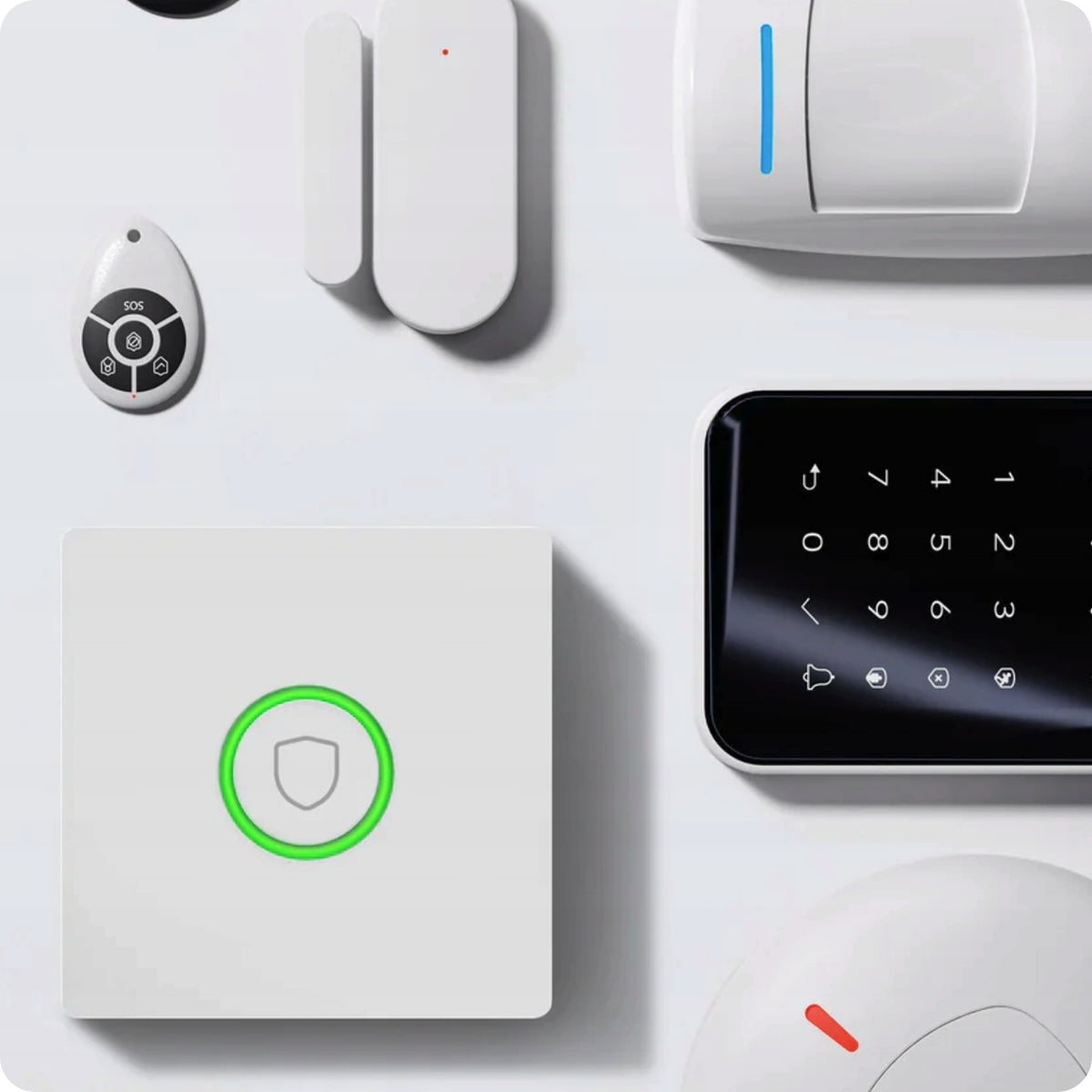 importora-gallery-92ca614b-9201-46de-b137-bbabc01b156b-003