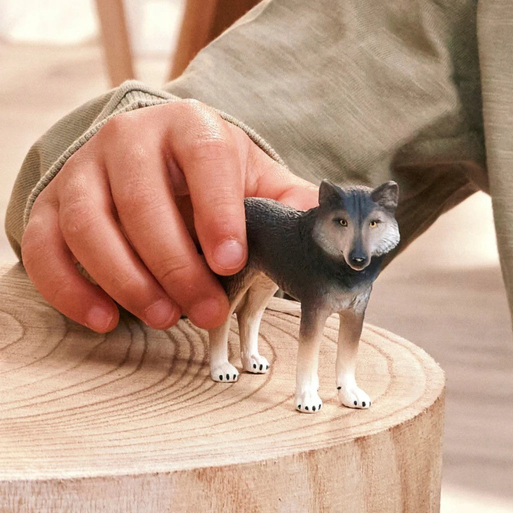 importora-gallery-2033cbdb-b819-44b8-9941-9d28ec3b55b6-004