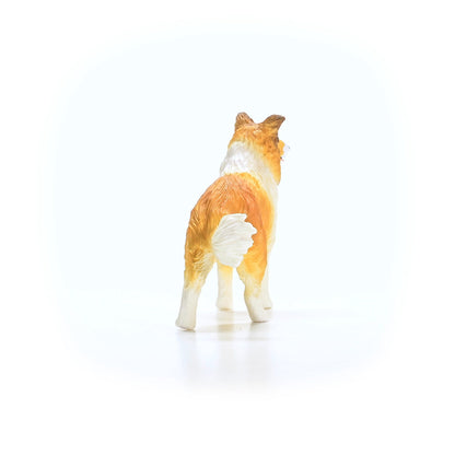 importora-gallery-d03b7444-ff41-4a46-95fd-e32901d9172c-007