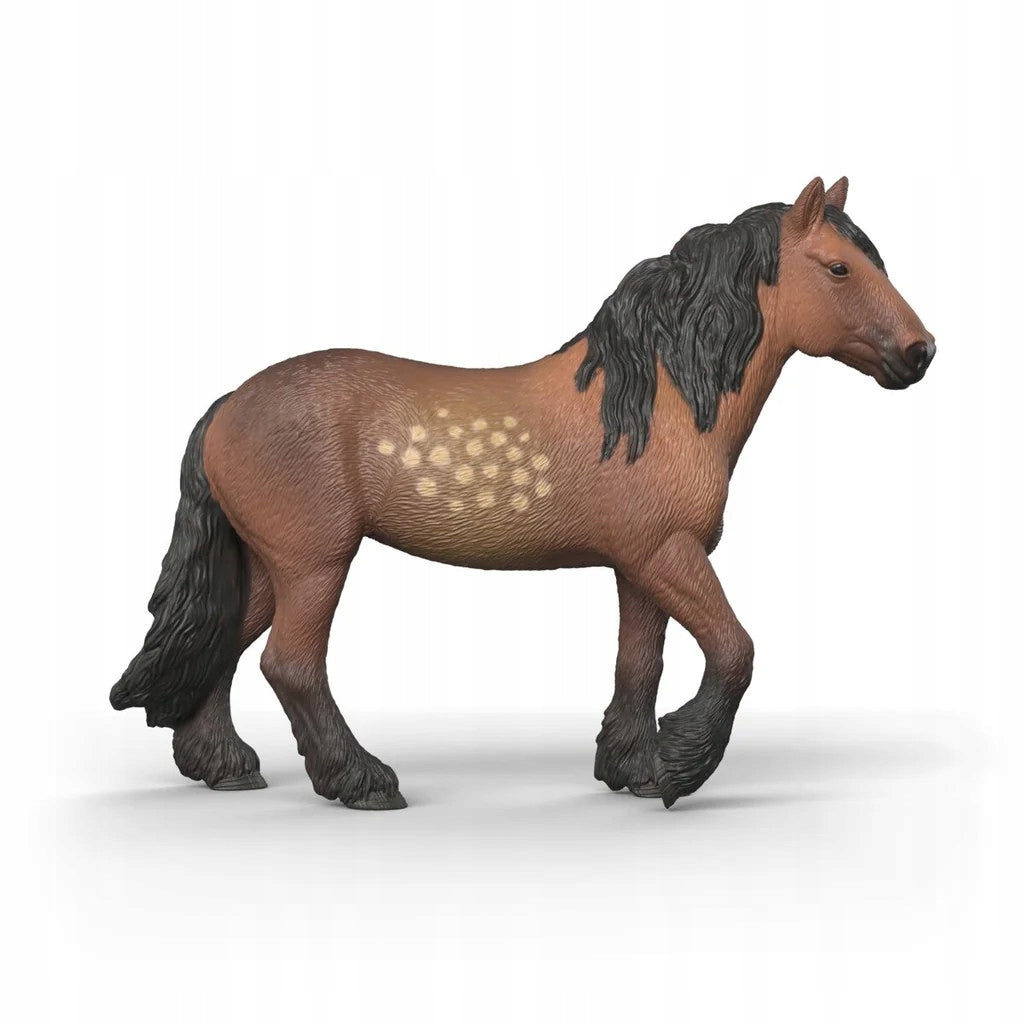 importora-gallery-499bf1ef-1320-4734-9004-38431b0d3104-002