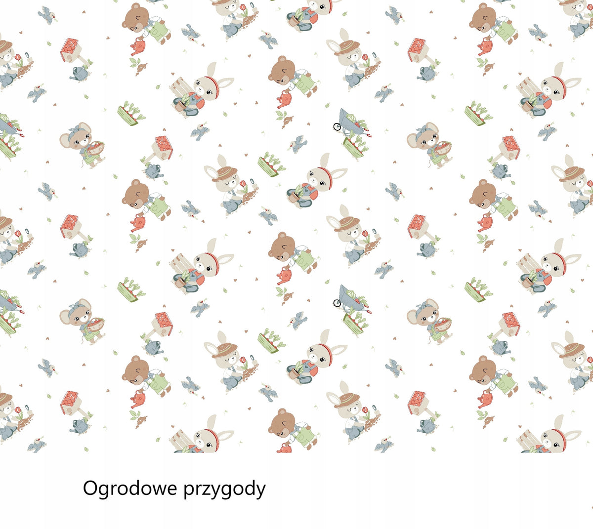importora-gallery-cdcdd743-4920-4bd1-91ff-20654a20c384-003