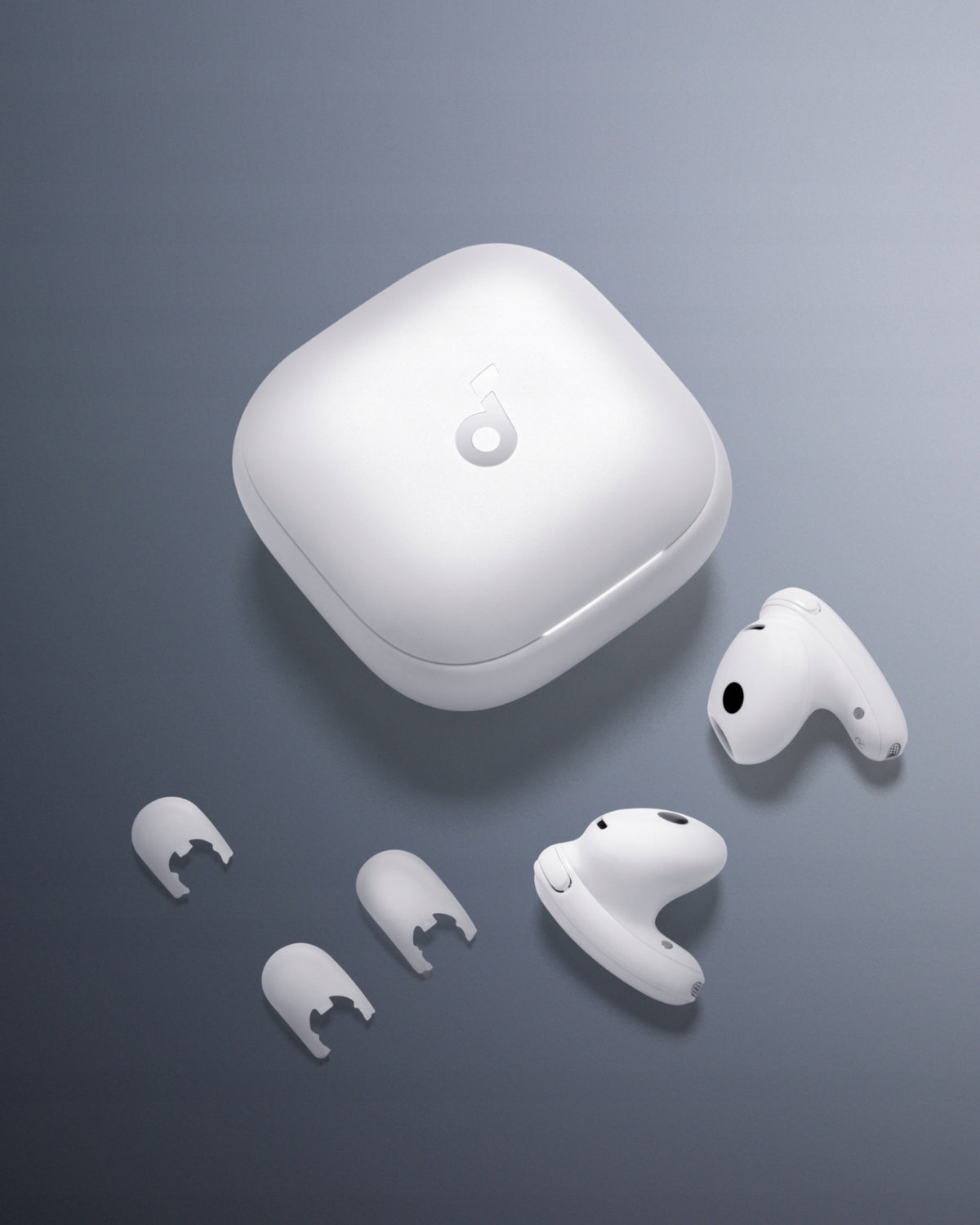 importora-gallery-f4aa61af-d8c3-48d4-92c3-bbbf756cf80a-008