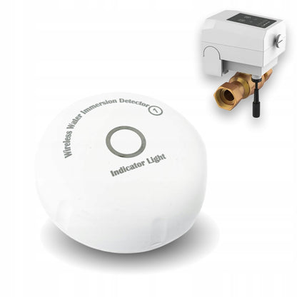importora-gallery-fcdb7ce6-1fc3-4582-84f6-96a86575c900-001